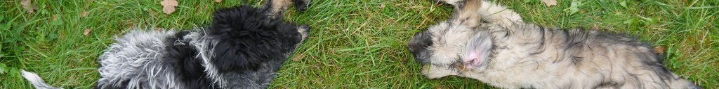 Lieschen (links) und Ronja (rechts)